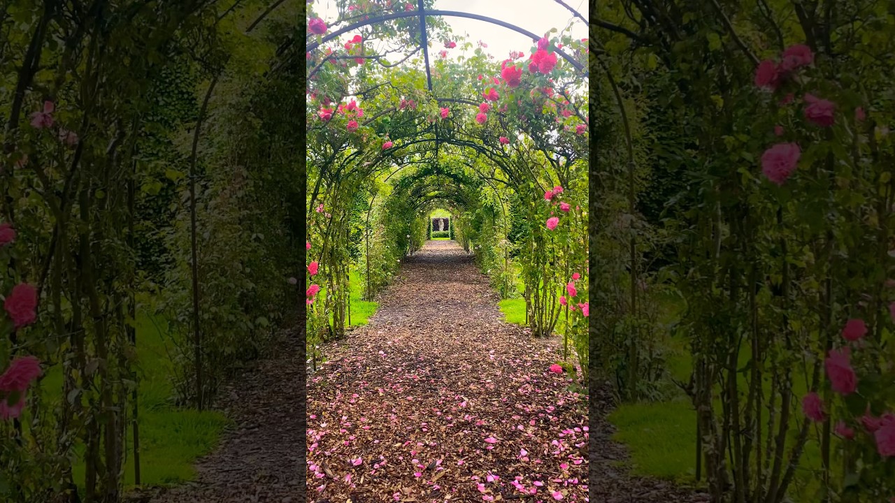 De Tuinen in Demen | Tourist attraction in Ravenstein #netherlands #travel #touristattraction #nl