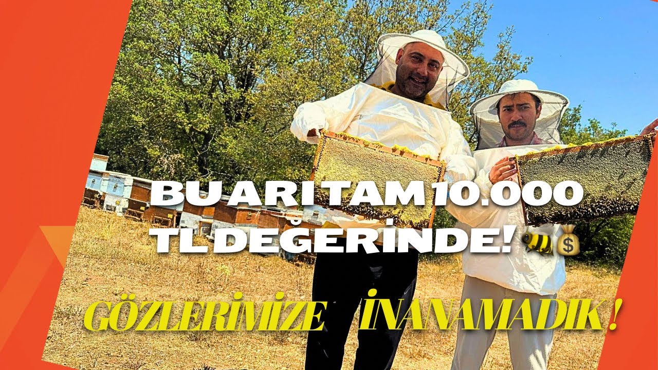 🔥 BİR ARI 10.000 TL Olur mu? GÖÇEBE ARICILIĞA ŞOK OLDUK !
