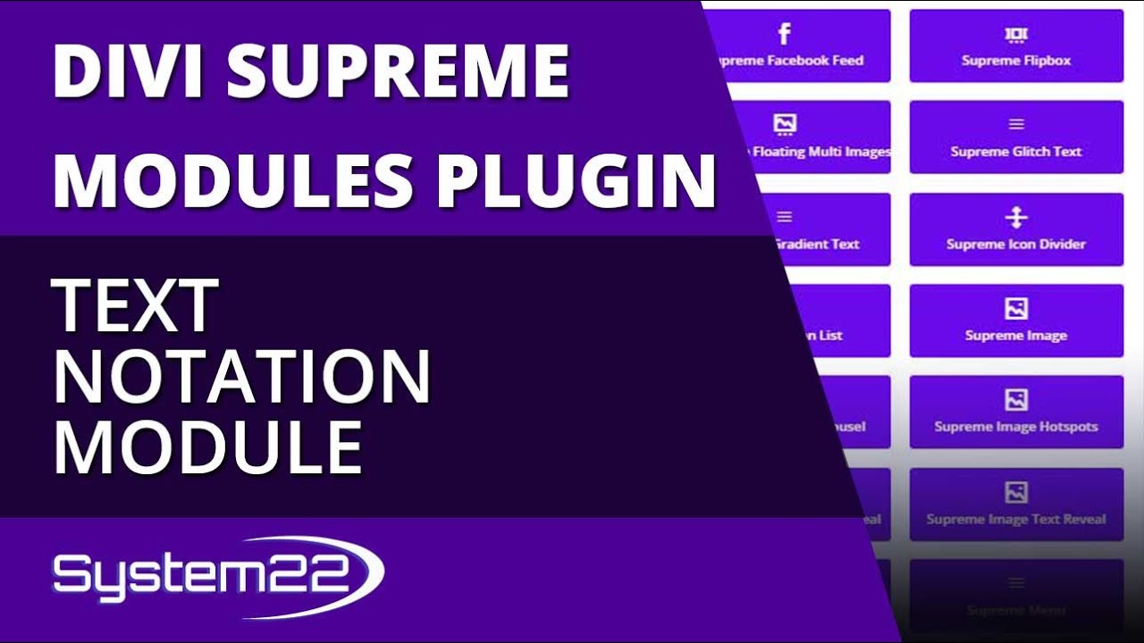 Divi Theme Supreme Modules Plugin Text Notation Module 👍