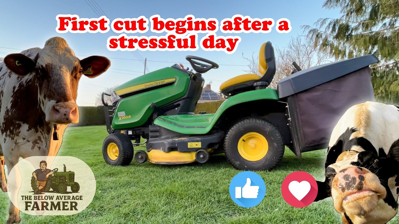 TB TESTING AND FIRST CUT