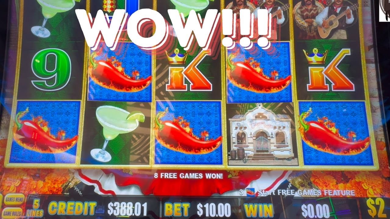MAKING MONEY ON LIGHTNING DOLLAR LINK!!! LET'S GO CHILLIS