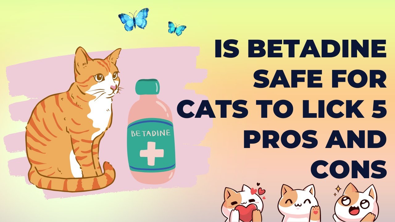 Is Betadine Safe For Cats To Lick 5 Pros And Cons