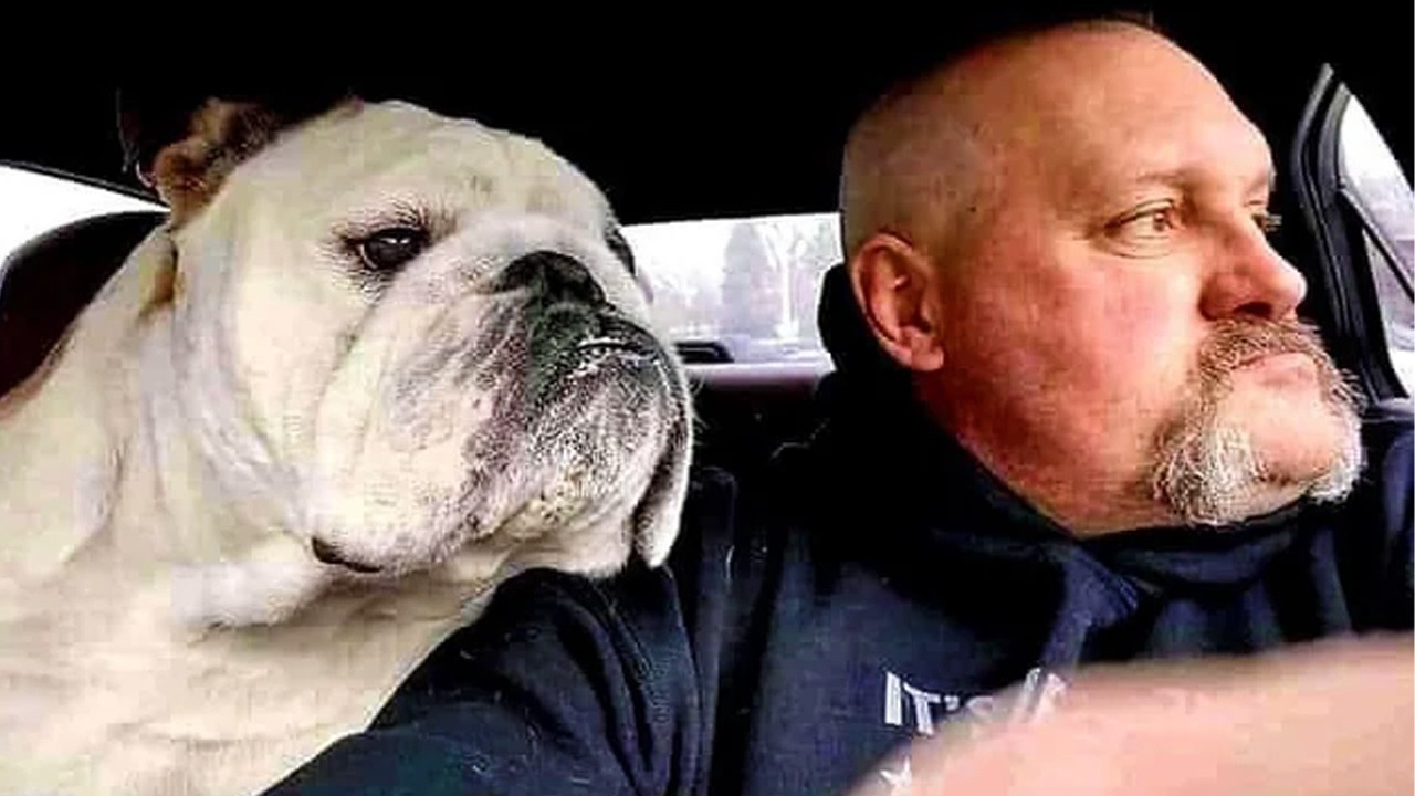 WARNING! You Will Die Laughing At These FUNNY DOGS 🤣 Funny Dog Videos