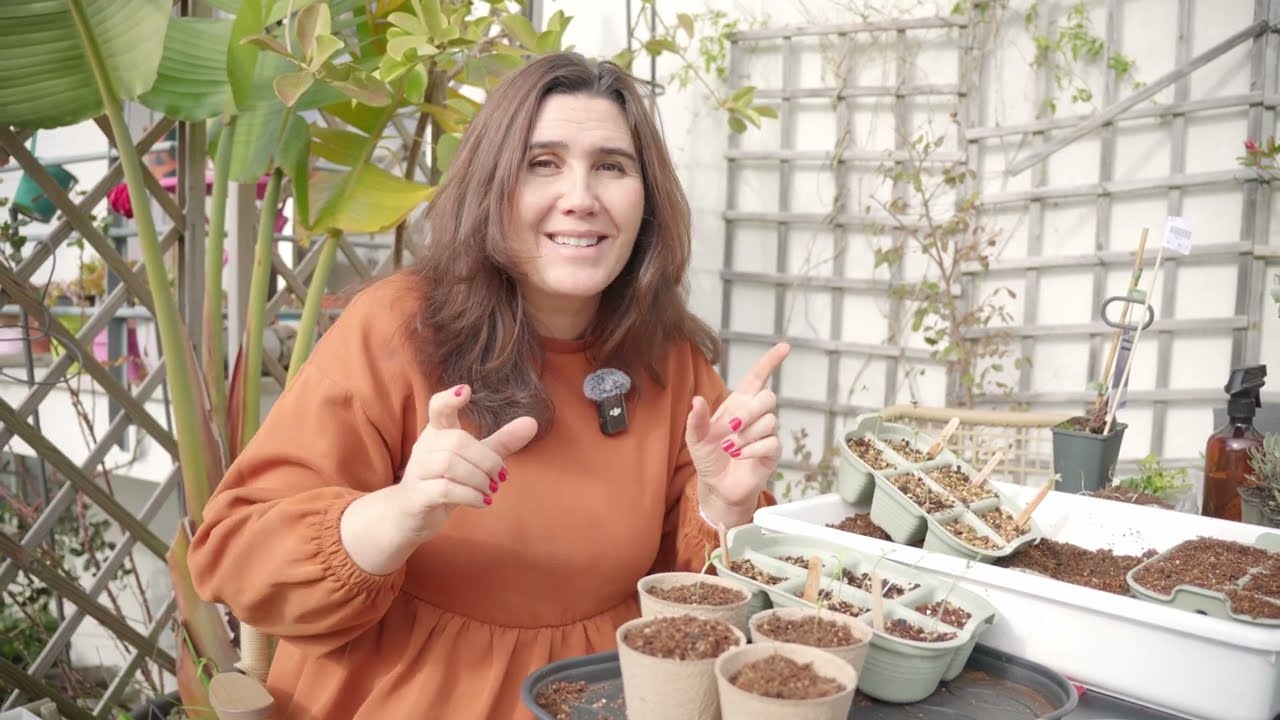 O que Plantar e Semear em Fevereiro
