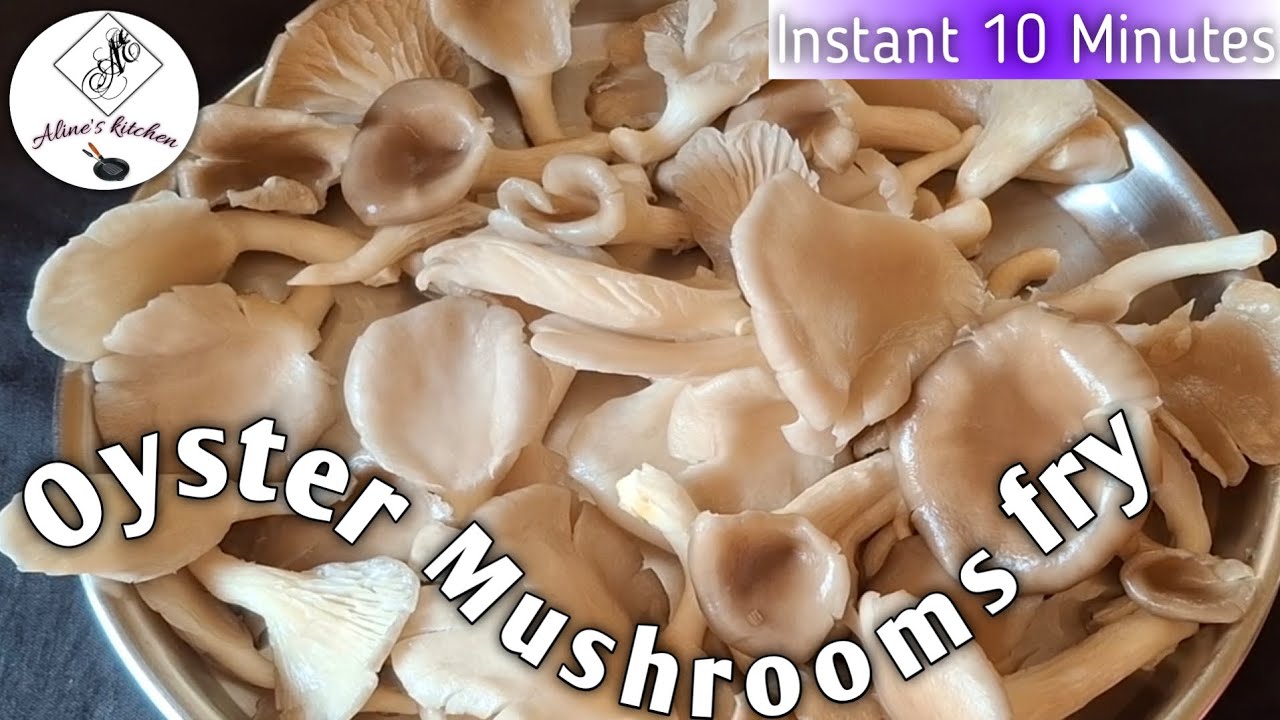 How to Cook Perfect Oyster Mushroom Fry | Full Flavour in Every Bite | 10 Minutes recipe 
