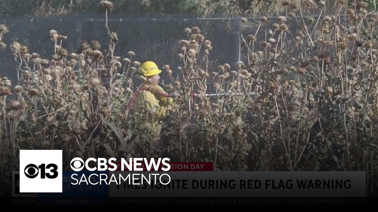 High winds, vegetation fires keep Sacramento-area crews busy