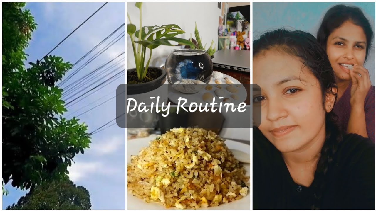 තවත් එක ලස්සන දවසක් 🌿🌻✨🌈🌞