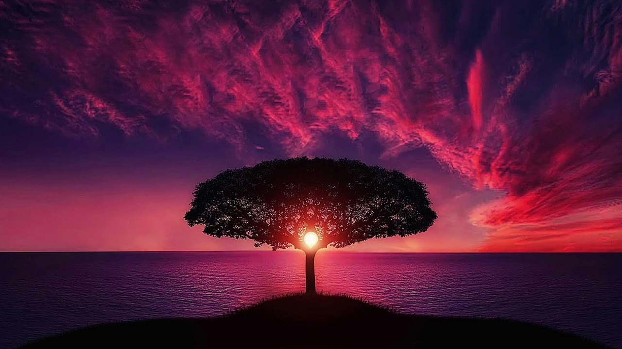ALAN WATTS, CAN YOU ACCEPT GRACE?