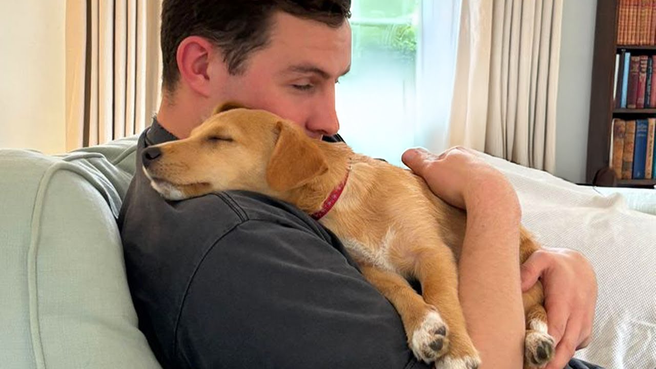 When you own the SWEETEST Affectionate Dog in the world