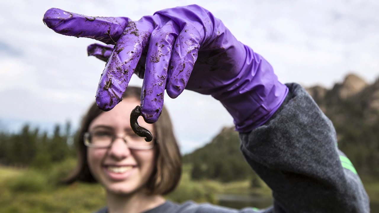 Conservation Photography and Science