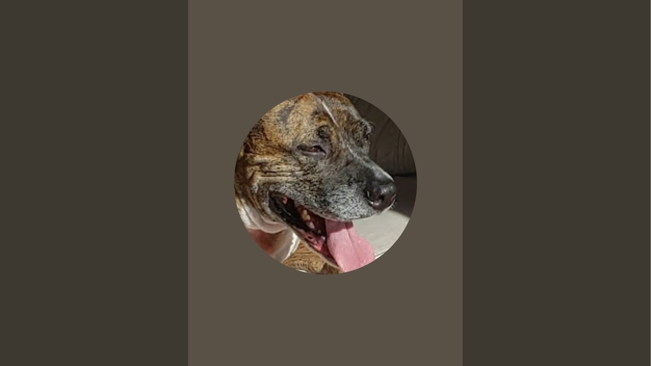 ￼ Changes of artificial intelligence