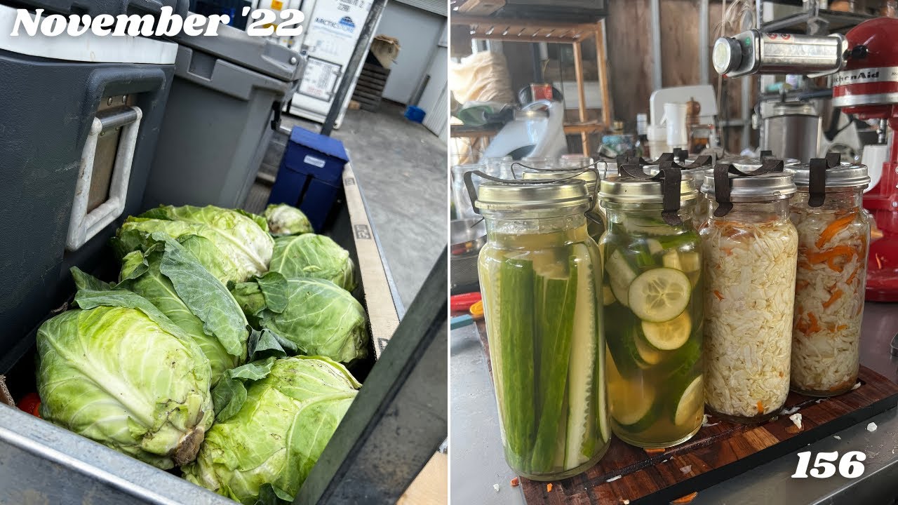 Pickled Cabbage | Water Bath Canning Coleslaw | Pickles | Sweet Brine | Off Grid Australia 156
