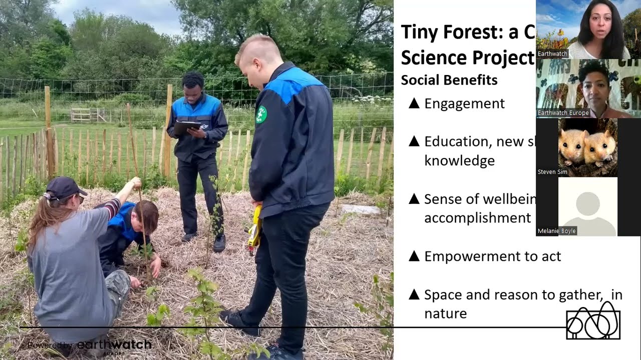 Tiny Forest Science - a teaser