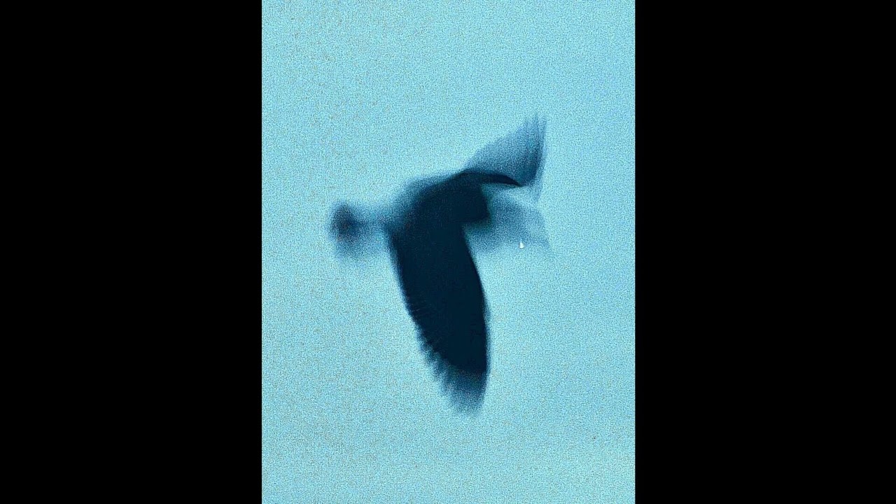 Naomi Sharon x Ambient Type Beat ~ 