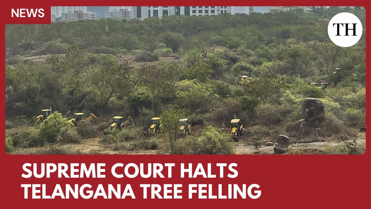 “Not a single tree will be felled”: SC slams Telangana govt over tree cutting