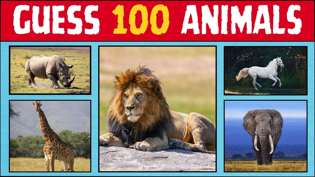 Can You Guess All 100 Animals? | Ultimate Animal Challenge 🐅🦓 || Who knows?