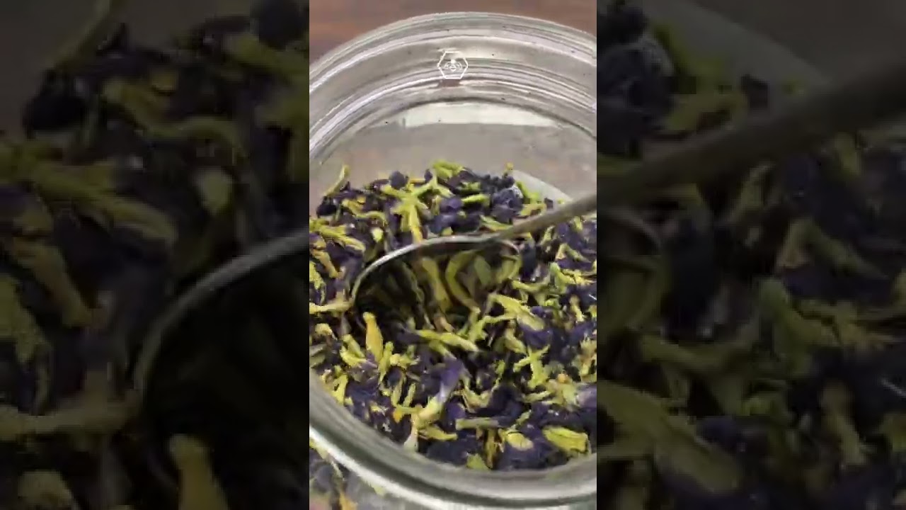 (SATISFYING ASMR) Butterfly Pea Powder 🦋✨