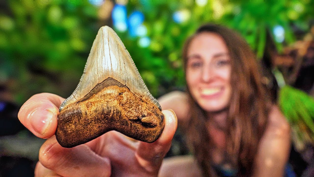 Our BEST Shark Tooth Hunt in AGES! Just Before Hurricane Helene Hits 🌀⛈️