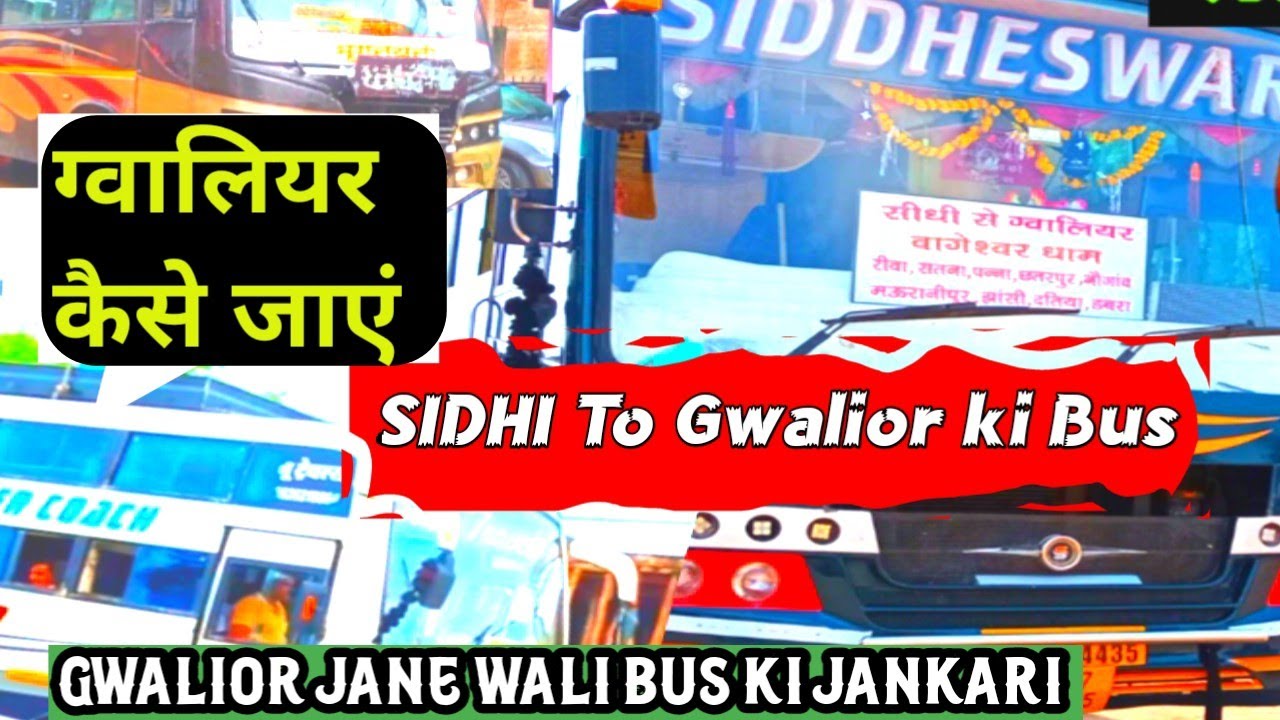 Sidhi To Gwalior||Gwalior ki Bus 🔥 Gwalior Kaise Jaye  सीधी से ग्वालियर कैसे जाएं|| bus ki jankari
