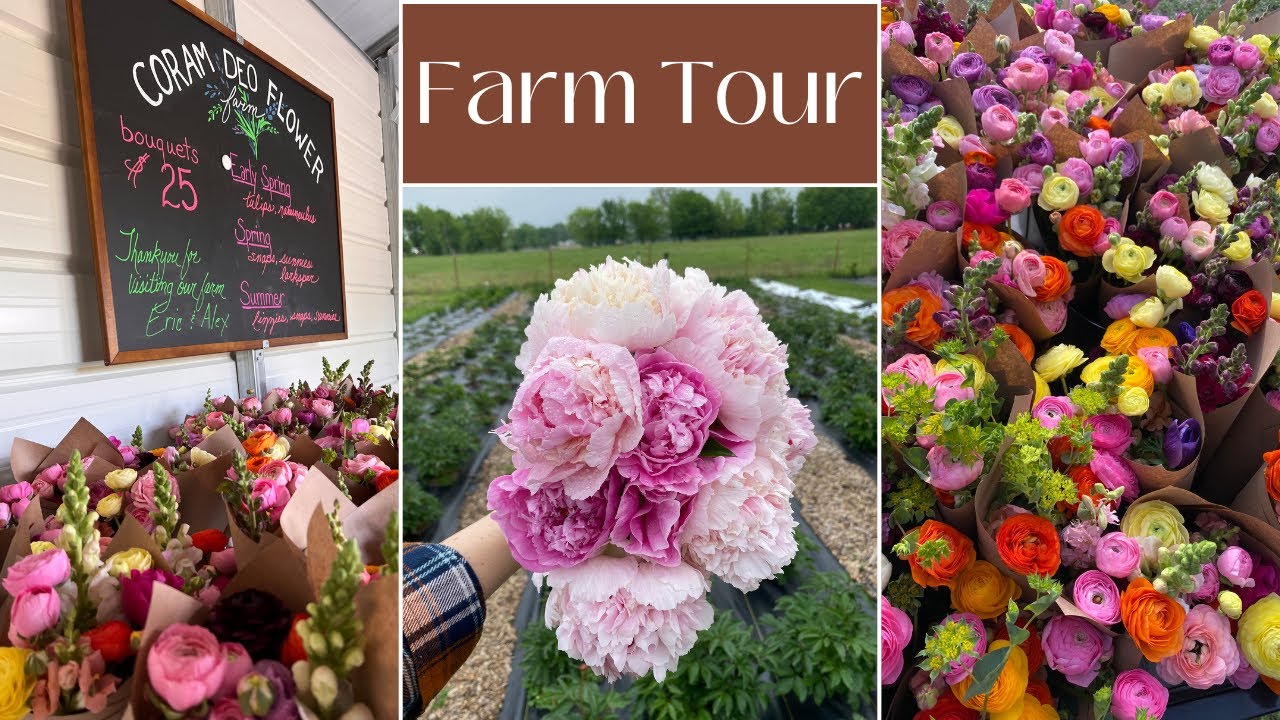 April Flower Farm Tour + Special Announcement! 🌸