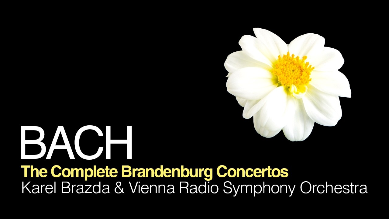 Bach: The Complete Brandenburg Concertos (Full Album) | Vienna Radio Symphony Orchestra