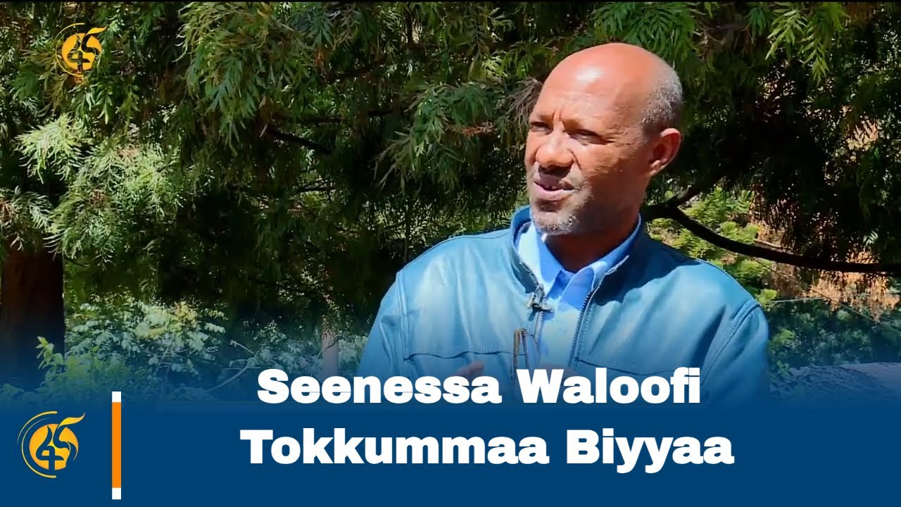 Seenessa Waloofi Tokkummaa Biyyaa