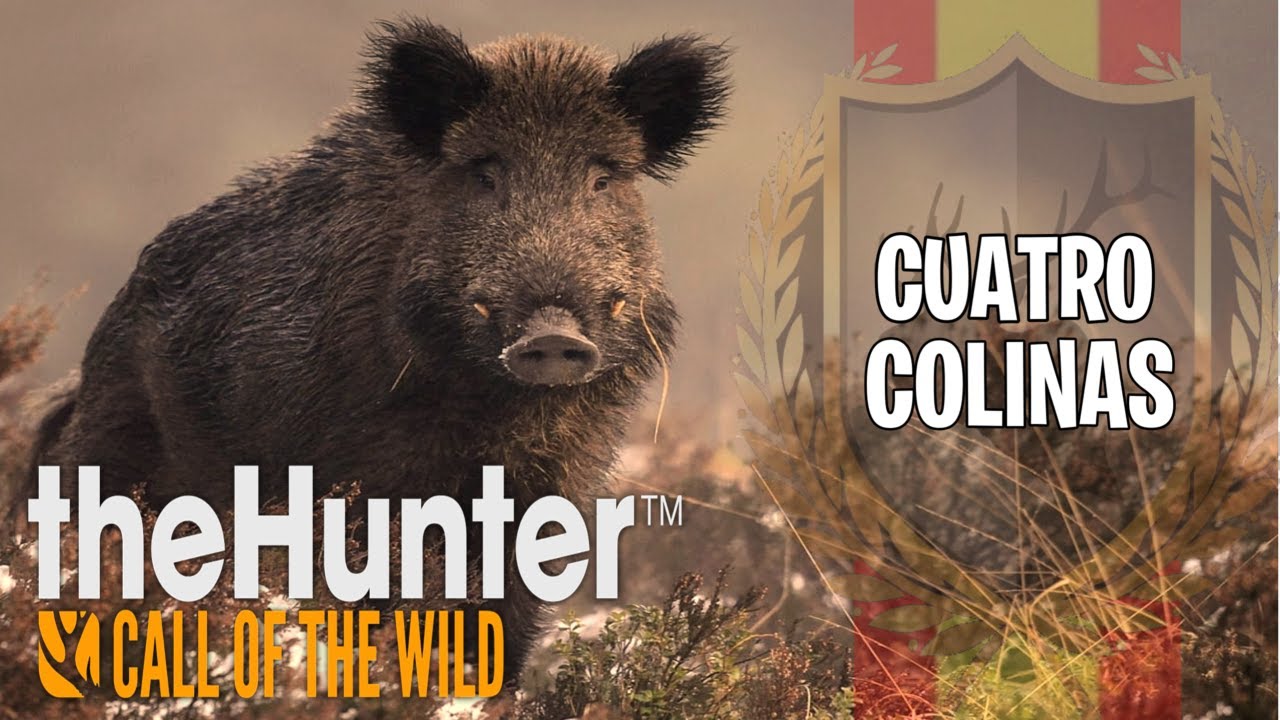 CUATRO COLINAS CAZA EN 2022🐗 the hunter call of the wild🐇294