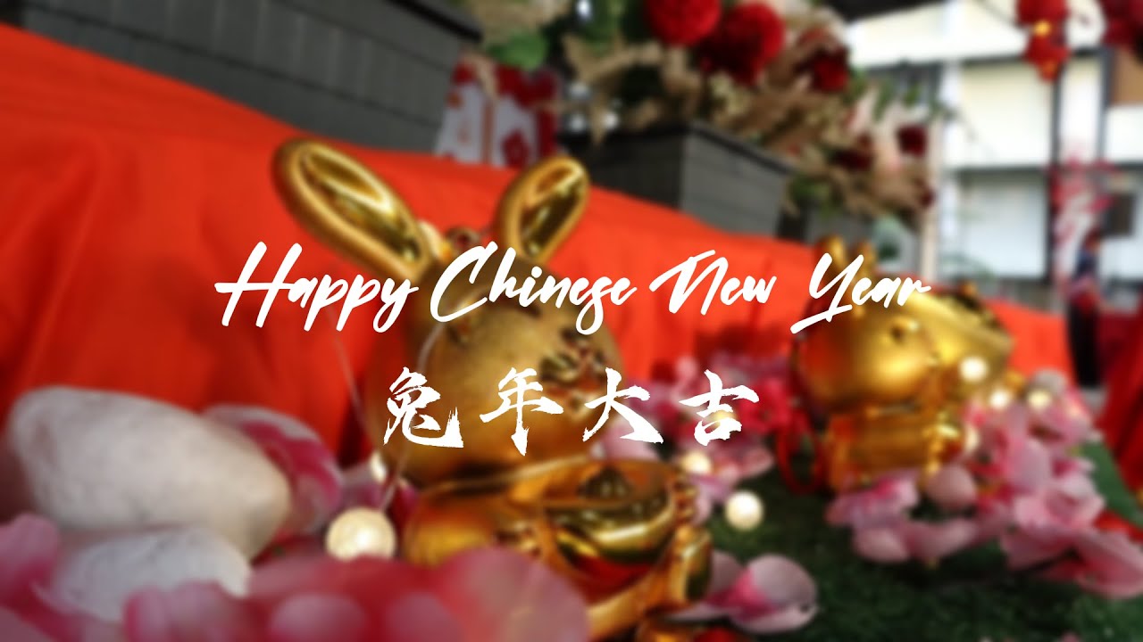 School Chinese New Year 2023 video 新年 | SMK BUD3