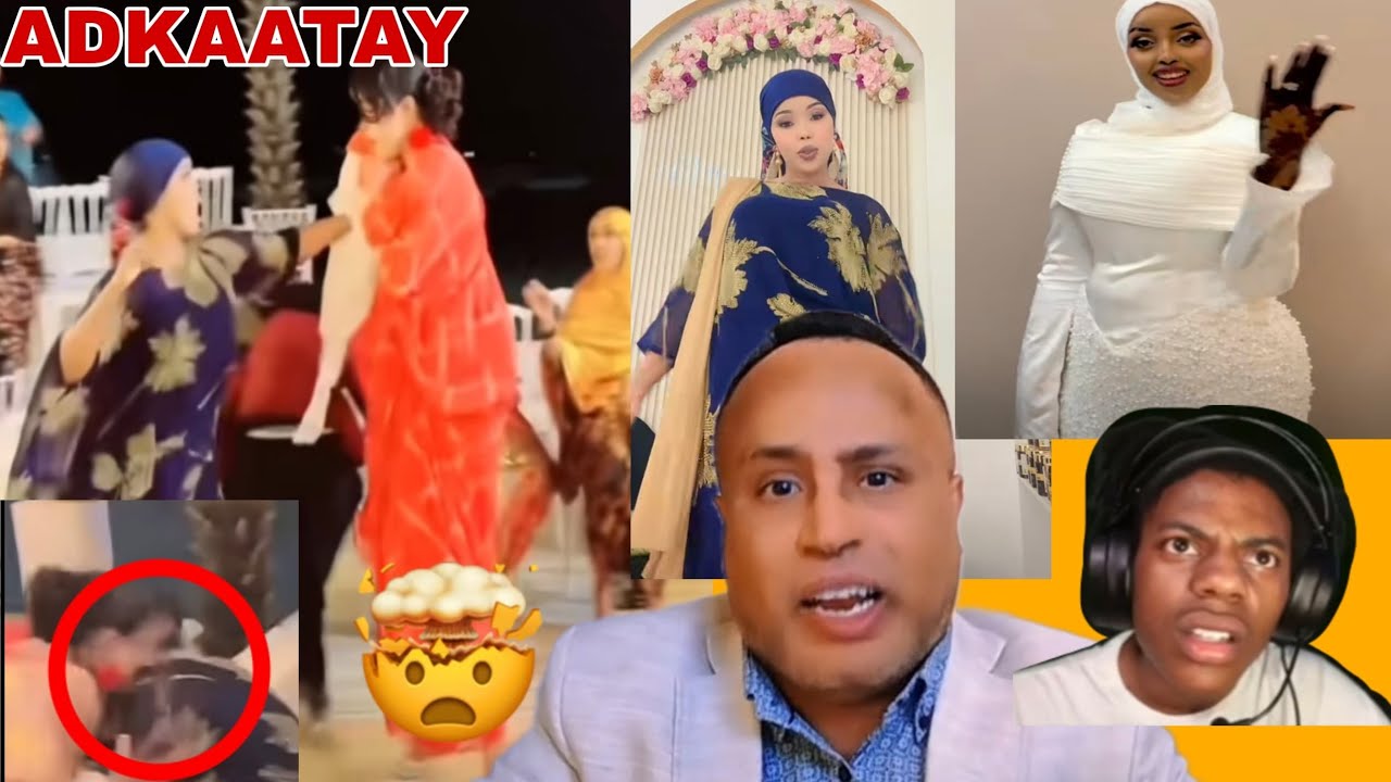 Shariif oo kahadlay dagaalkii luuzina iyo queen hg ee arooskii malabo daud xalay ...