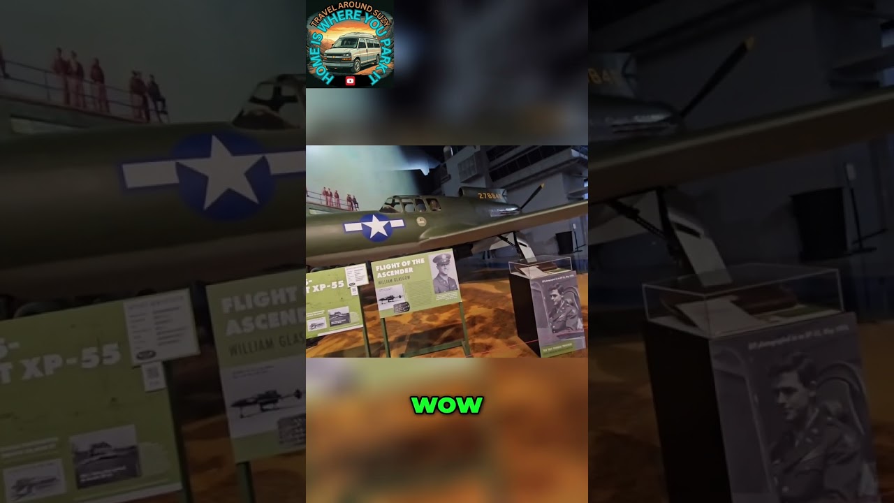 Rare Plane's Wild Story: Crashes, Smithsonian, & Wing Secrets!