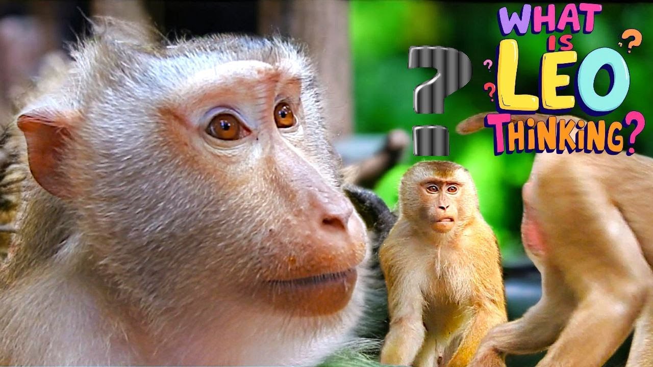 LIBBY&rsquo;s Gentle Family Bonding ❤️ | LEO&rsquo;s Strange Behavior&mdash;What Is He Really Thinking?