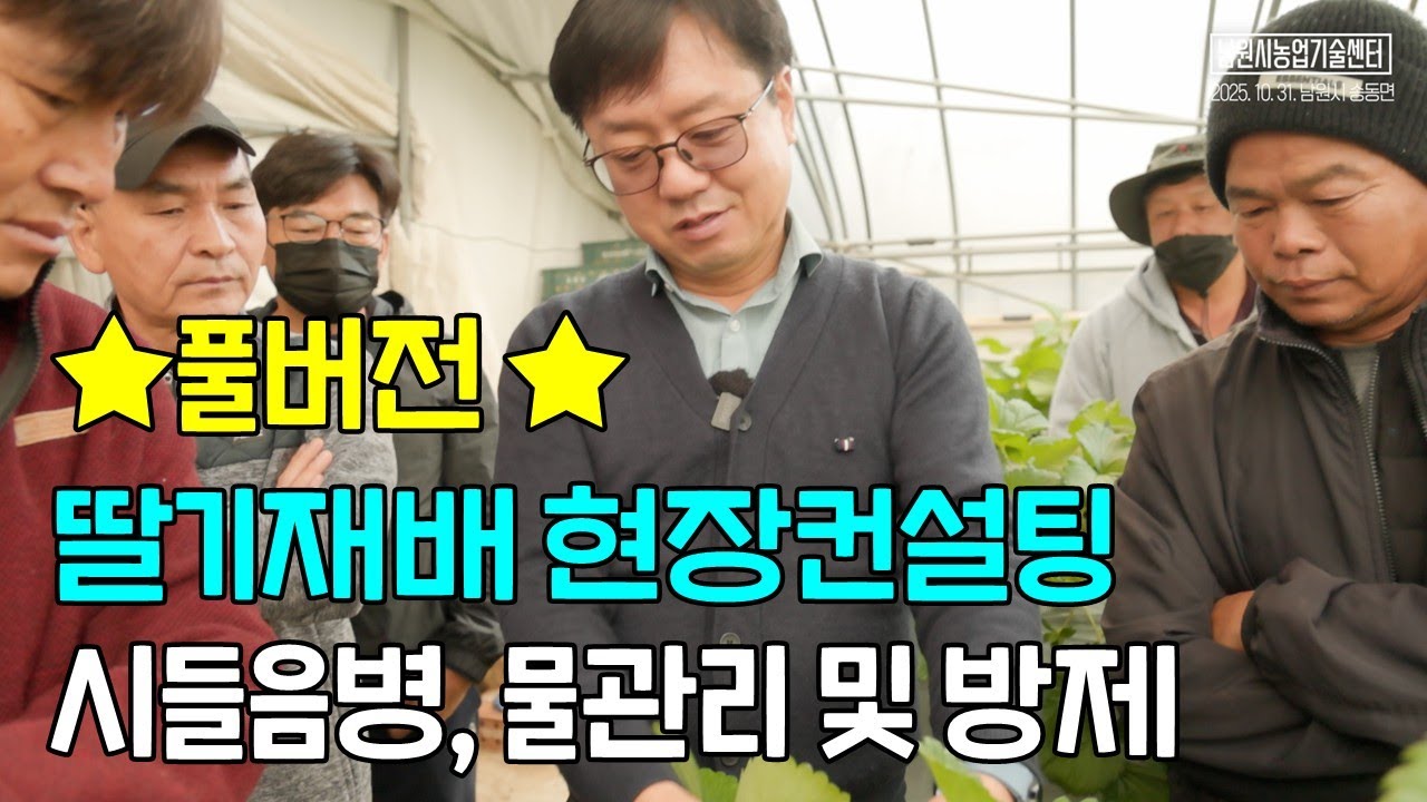 풀버전 2시간 딸기재배 현장 컨설팅 시들음병, 물관리, 방제