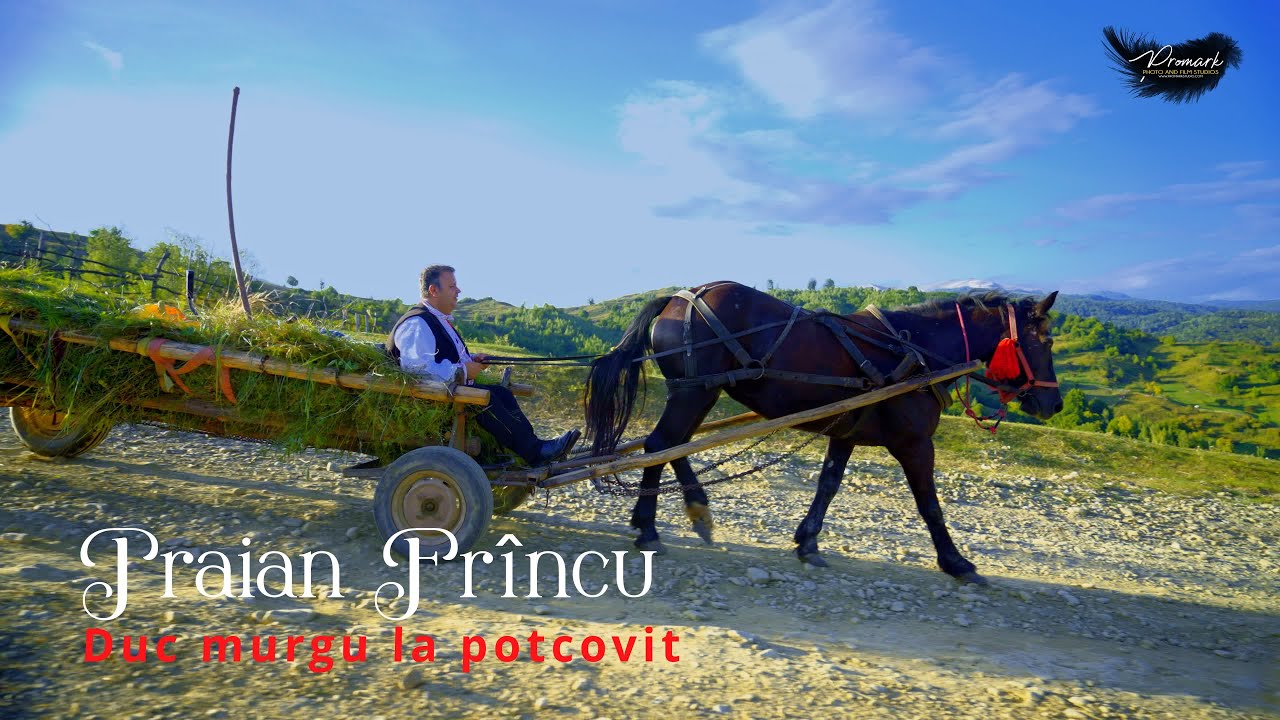 Traian Frincu - Duc murgu` la potcovit