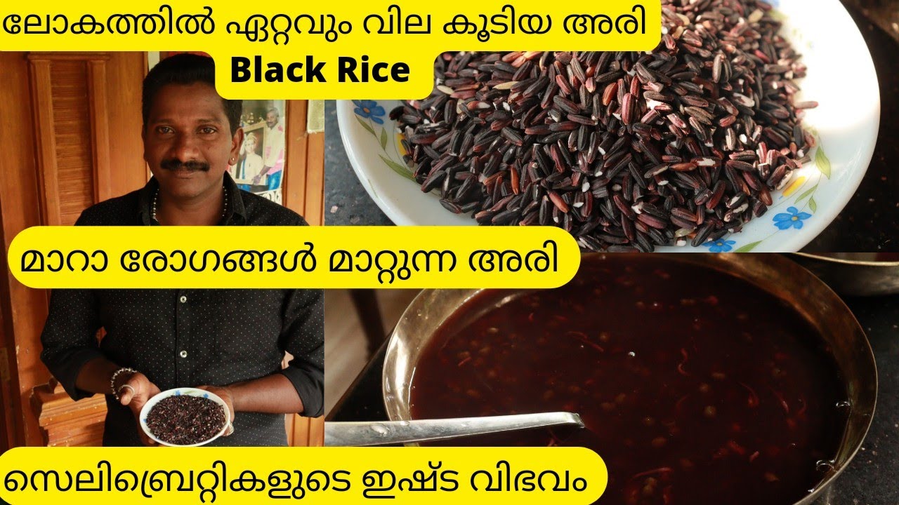 ലോകത്തിലെ ഏറ്റവും വില കൂടിയ അരി|Black Rice