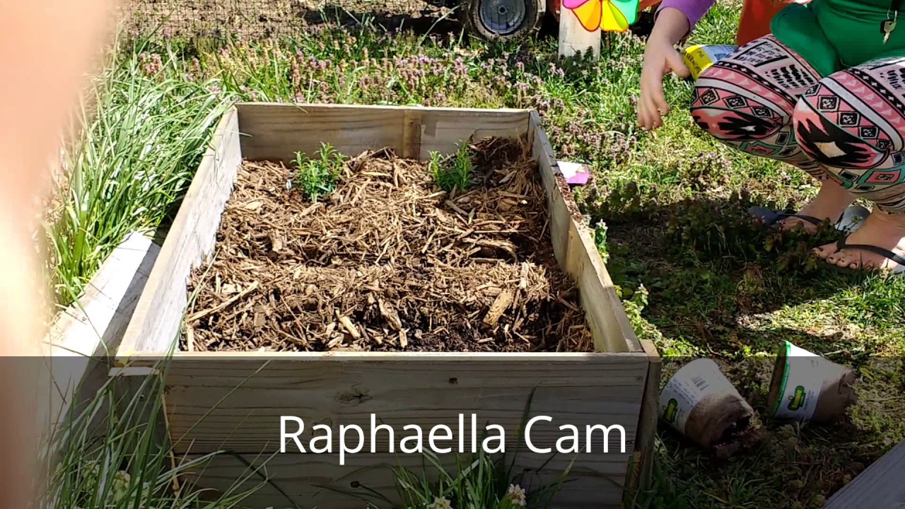 Planting the 2017 Garden! Transitioning to Back to Eden Garden Method
