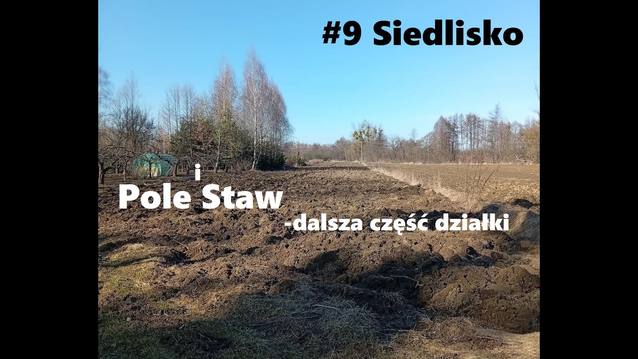 #9 Siedlisko - Dalsza część działki Pole i Staw