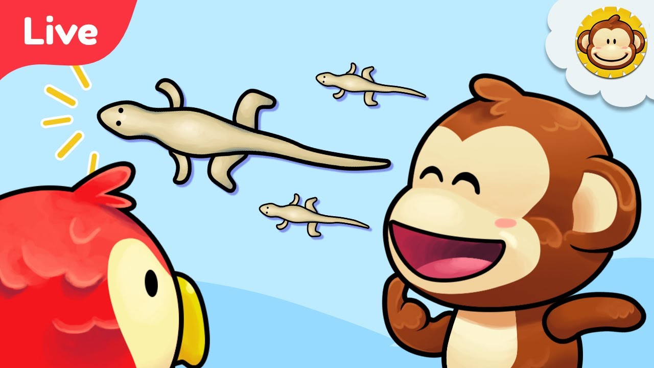 🔴 LIVE | Lagu Anak anak Indonesia | Cicak Cicak di Dinding 🦎  | BaLiTa