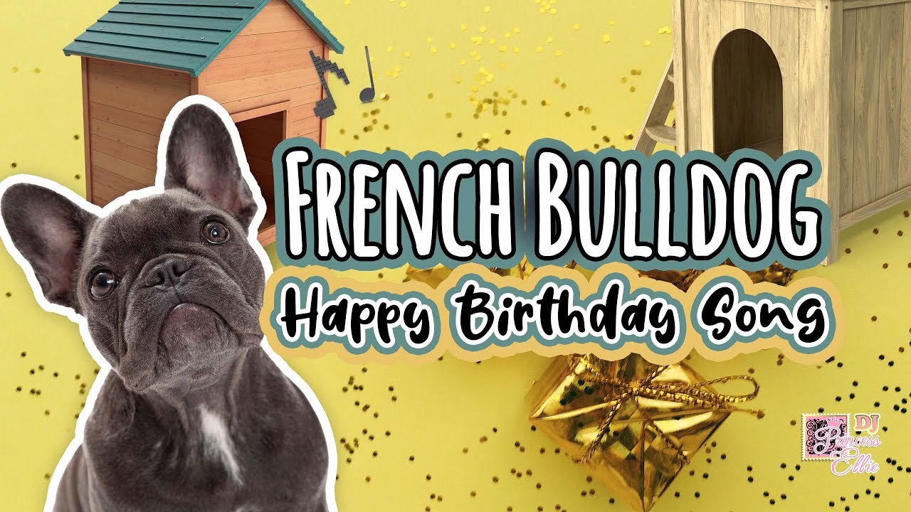 Pup Cub Birthday Surprise | Cartoons for Children and Teens 🐕