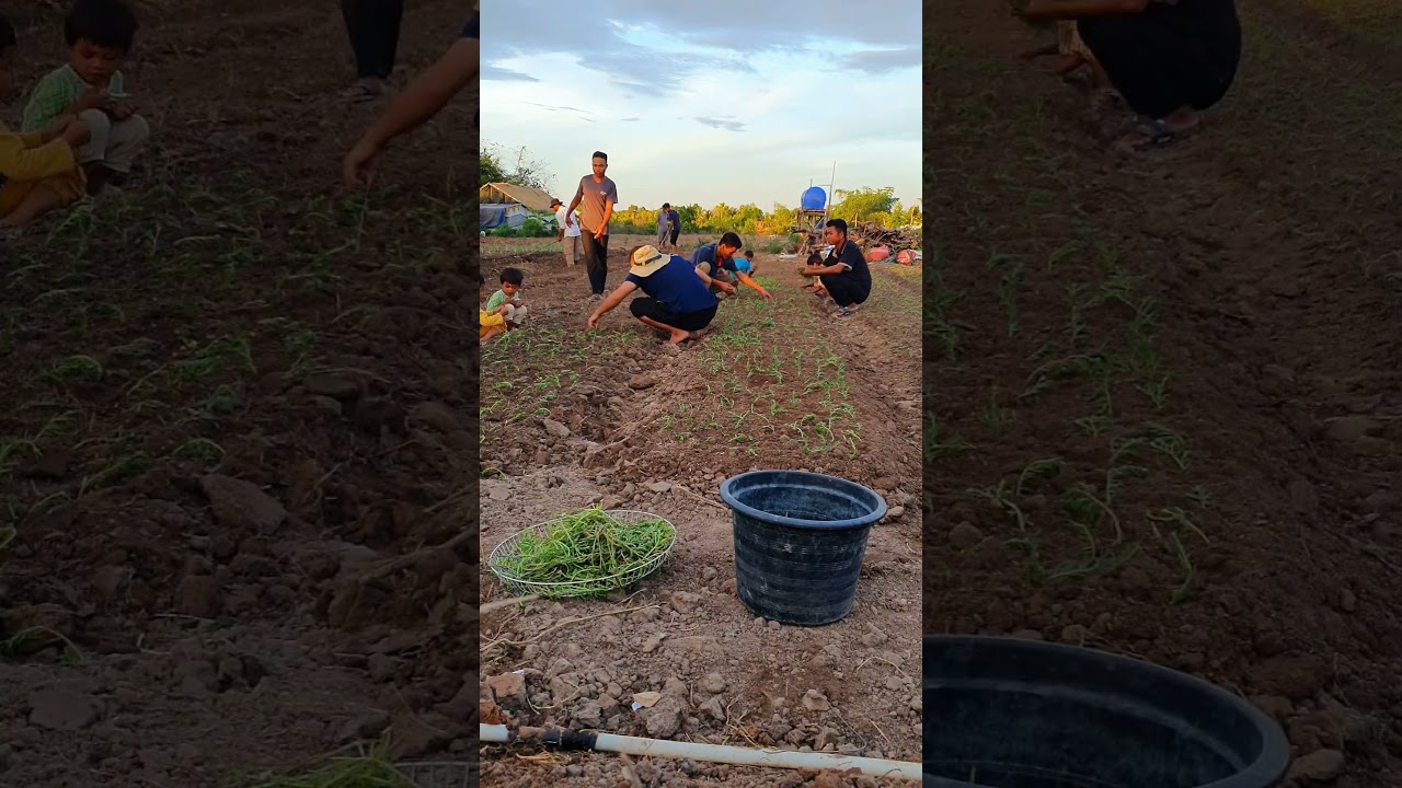 Happiness Farmer family. 
