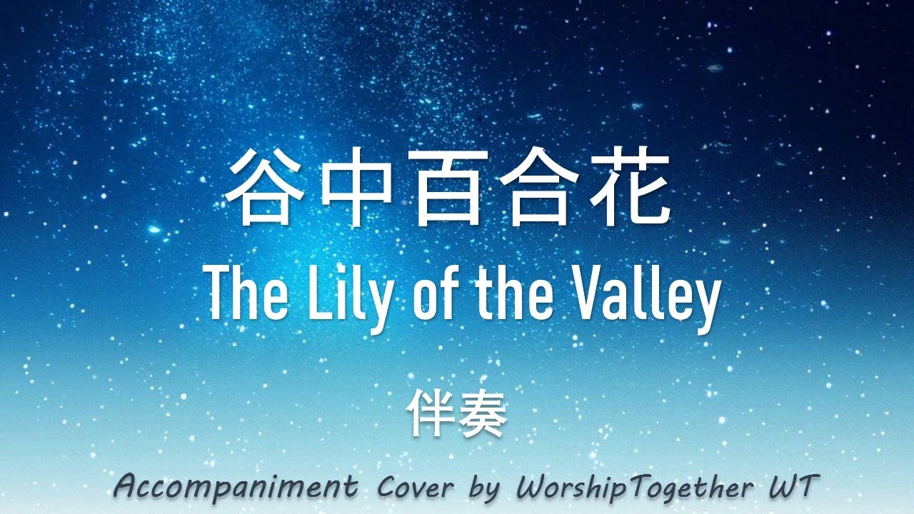 谷中百合花 The Lily of the Valley 诗歌 钢琴 伴奏Hymn Gospel Accompaniment Piano Cover歌词字幕WorshipTogetherWT V151