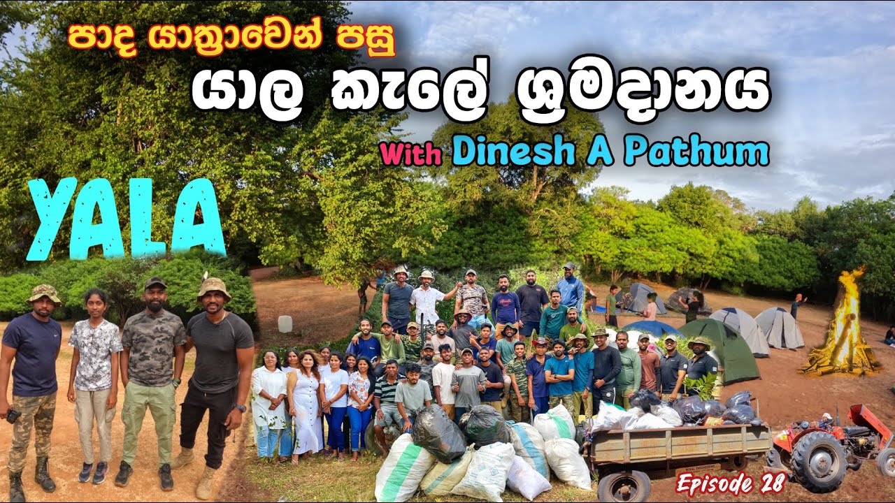 Yala National Park Cleanup ft@DineshAPathum පාද යාත්‍රාවෙන් පසු යාල කැලේ ශ්‍රමදානය | 4K #yala #dap