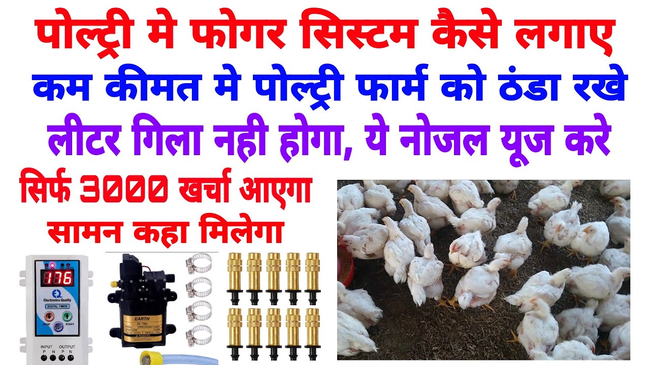 Poultry form Mein foger system Kaise lagaen | Samar management in poultry