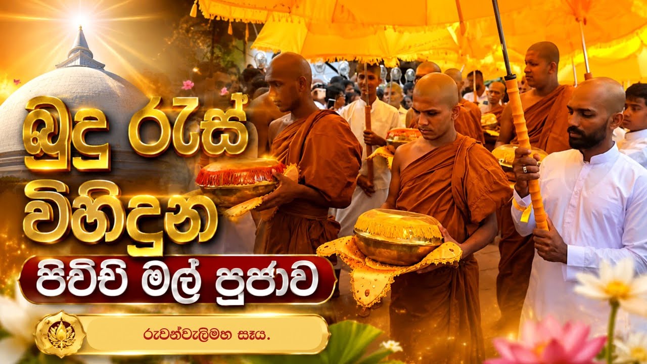 Pichcha flower offering 2025 | Anuradhapuraya sri Lanka 