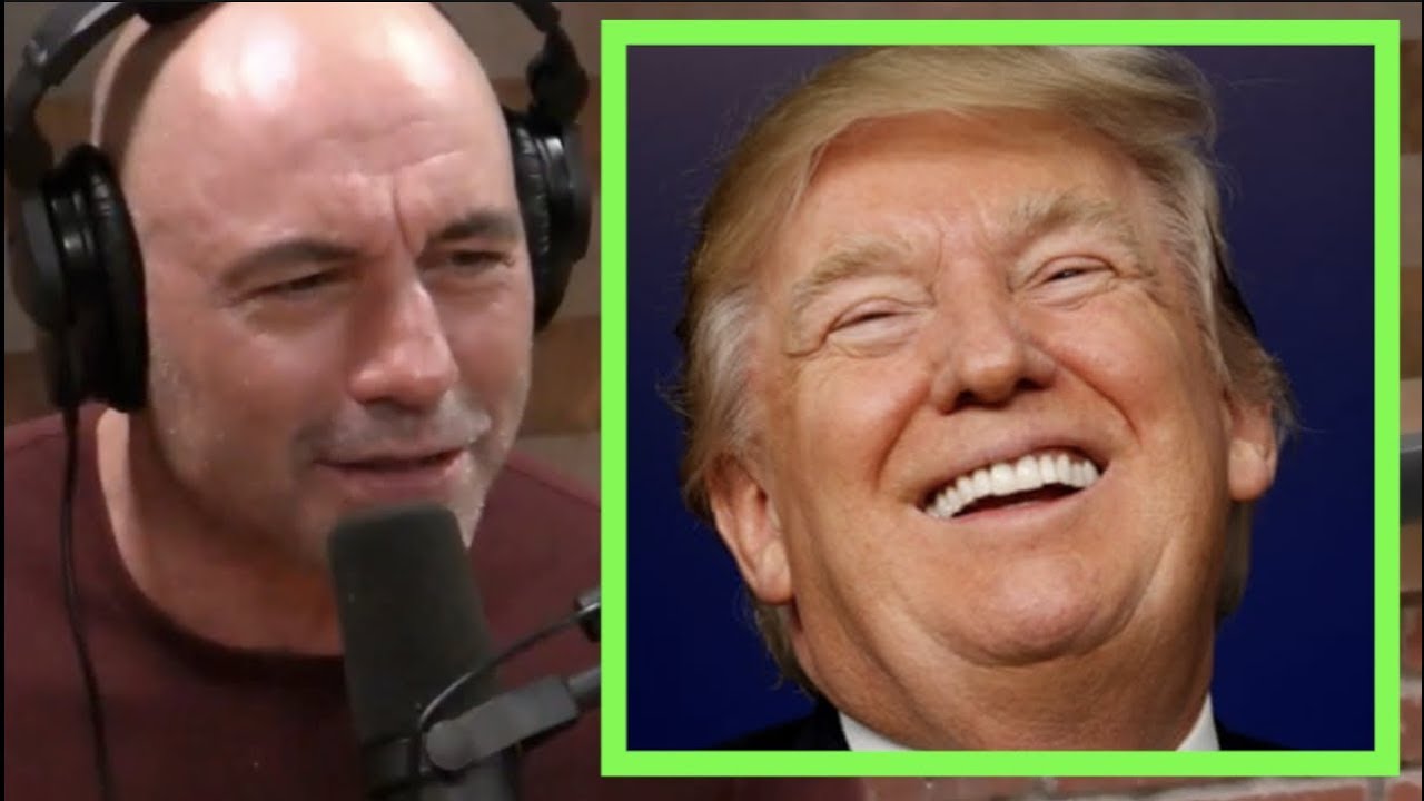 Joe Rogan - Why Donald Trump is Untouchable