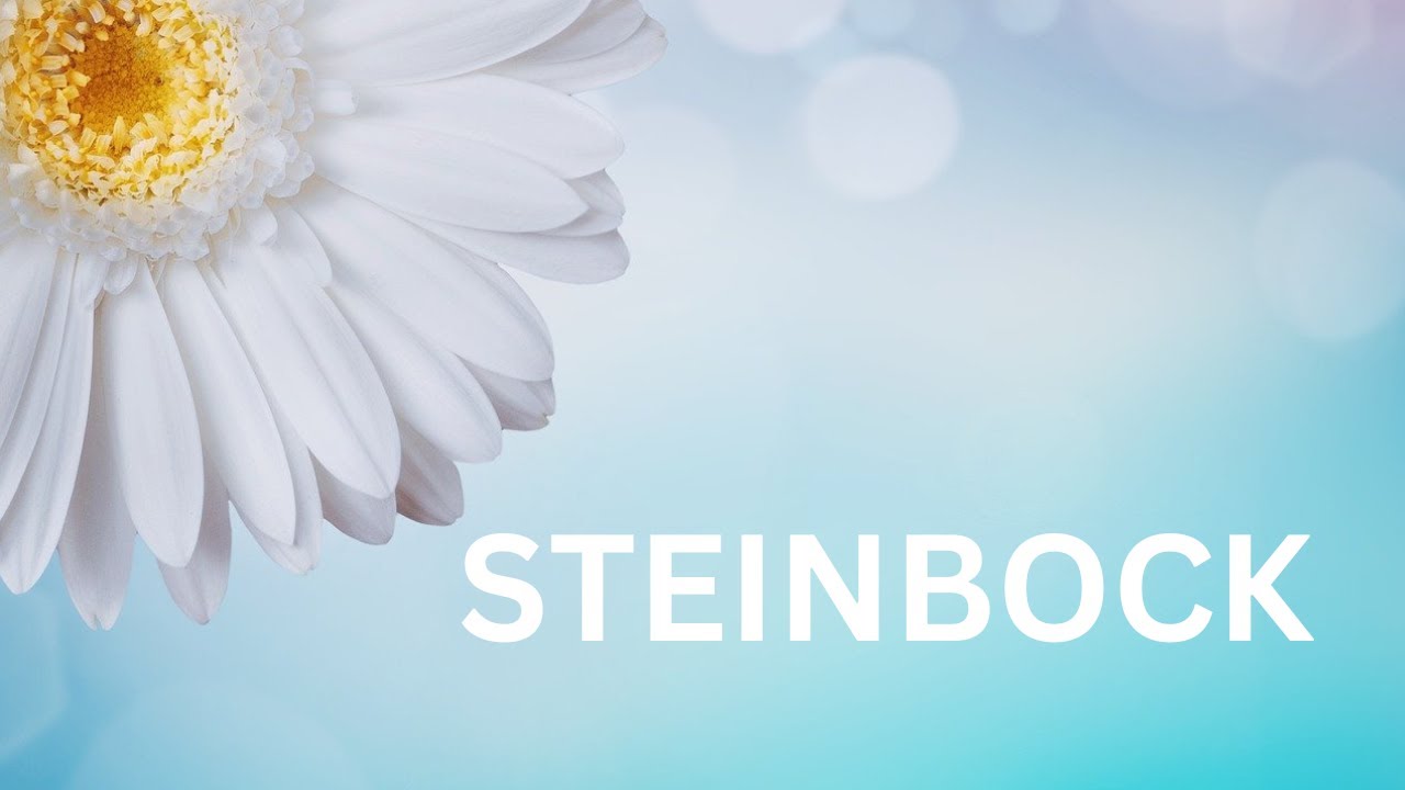 STEINBOCK ♑ EINE WICHTIGE BOTSCHAFT SEELENGEFÄHRTER /SEELENAUFGABE✨❤️💸