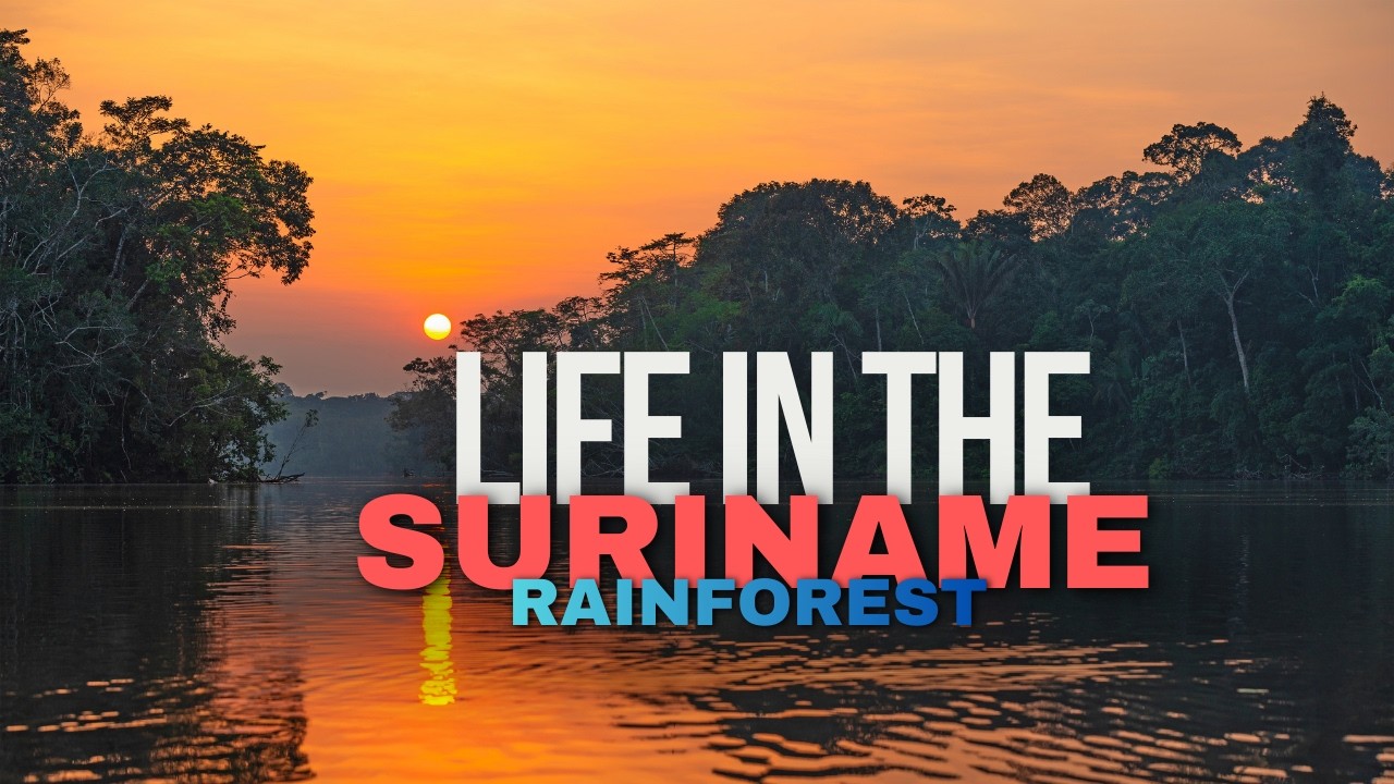 Living in the Suriname Rainforest