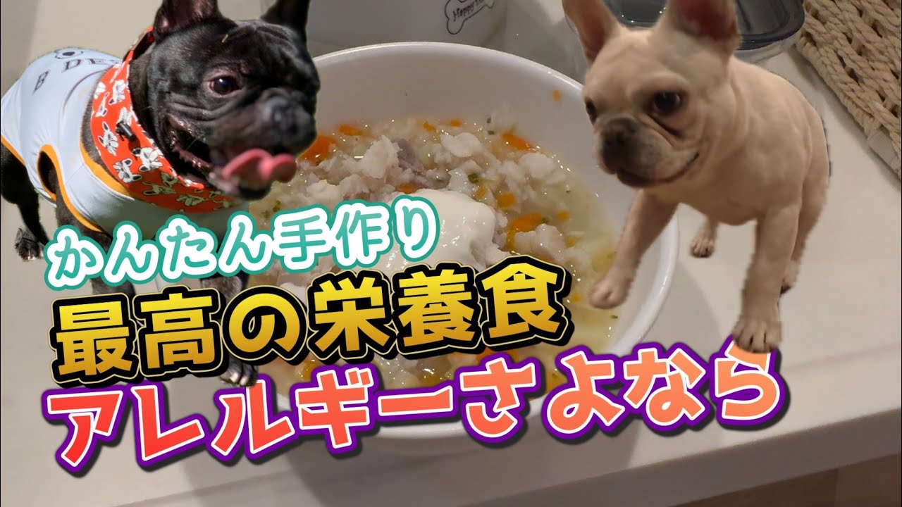 フレンチブルドッグのマサ君のアレルギー対応食です！
