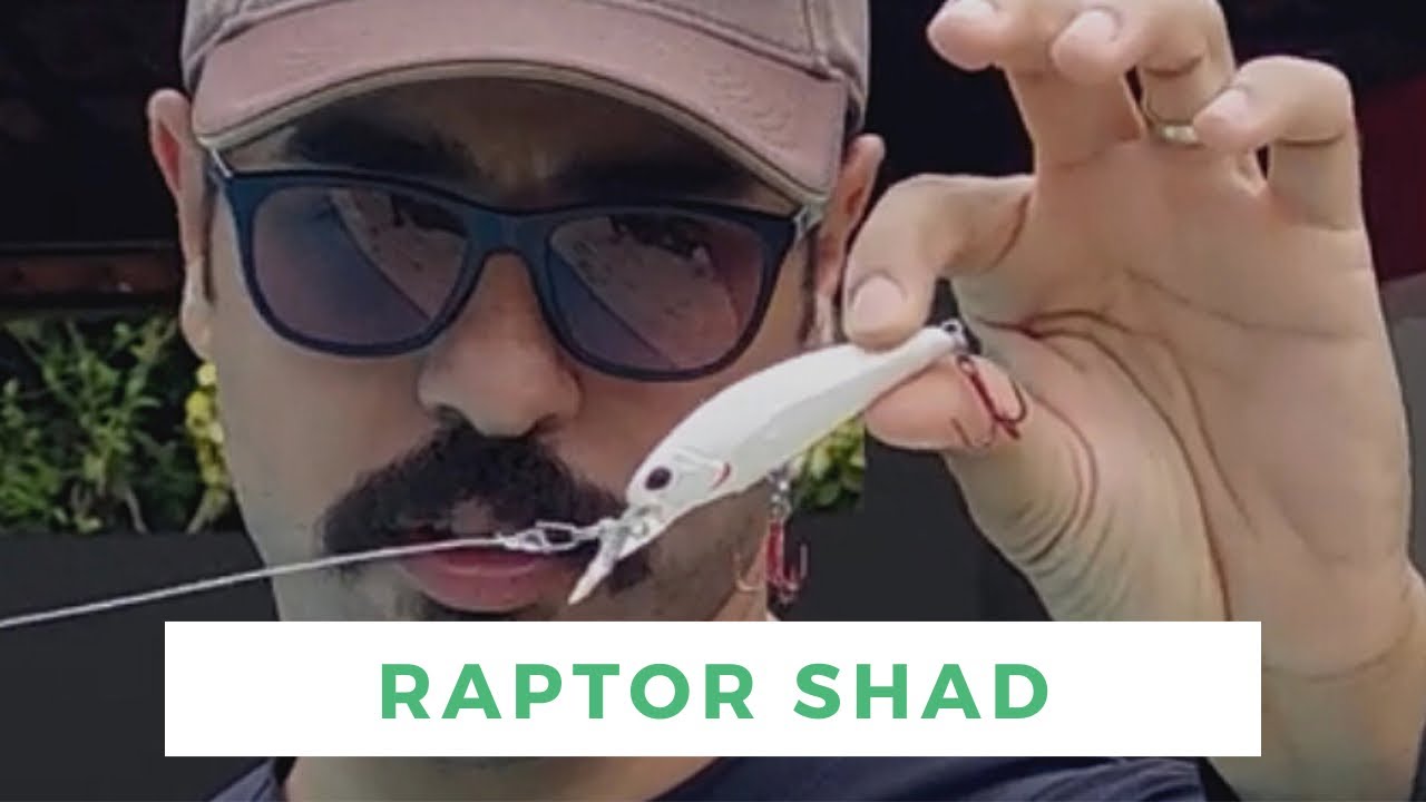 RAPTOR SHAD Marine Sports