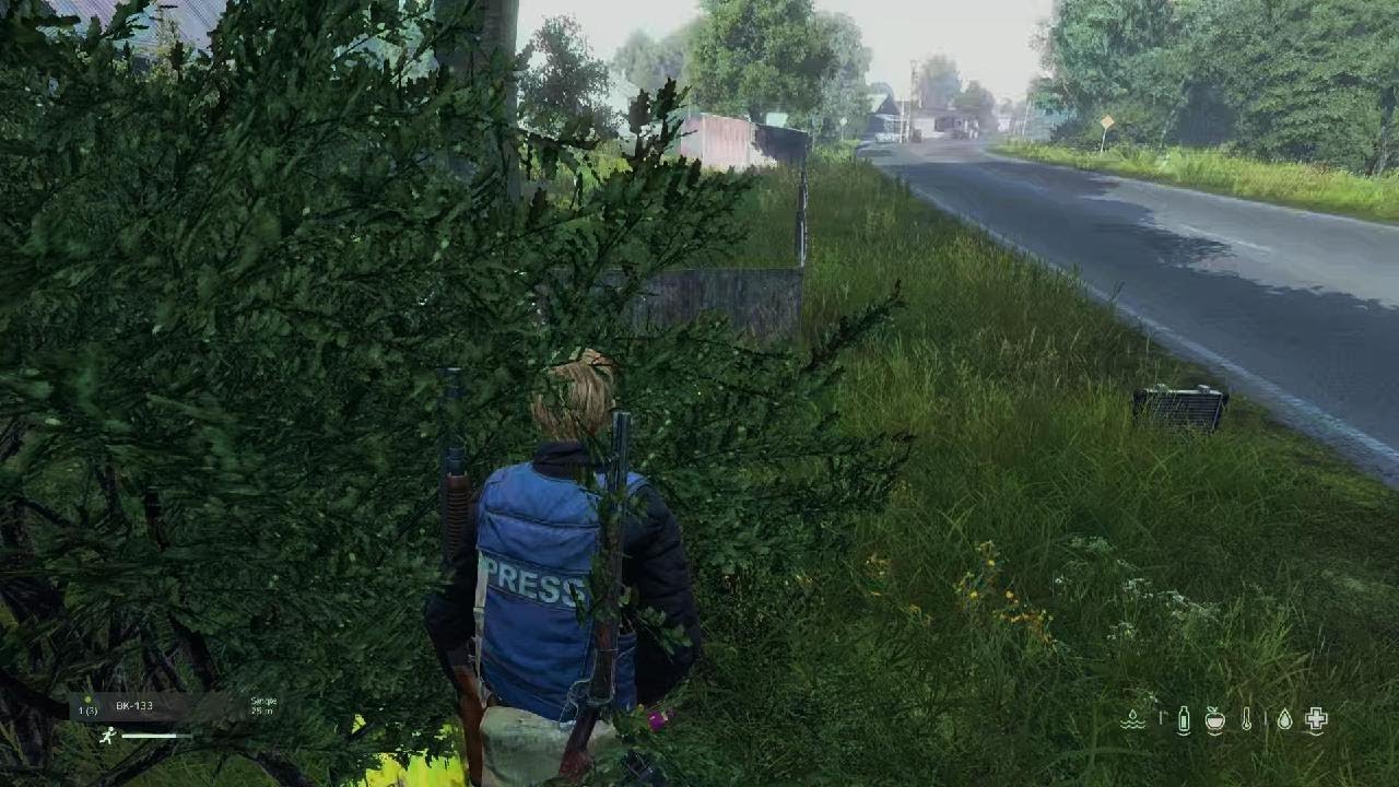 DayZ Brena battle