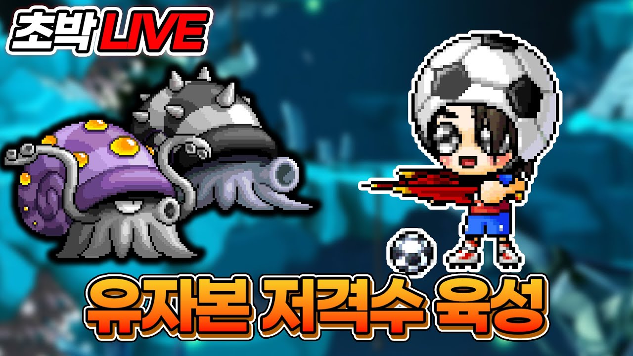 유자본 궁수 육성 12일차 | 아침에는 원탁보다 오징어가 낫네요?